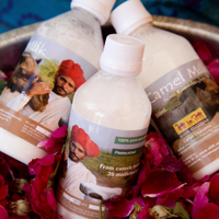 Camel Charisma (@camelcharisma) 's Twitter Profile