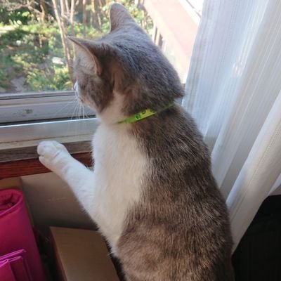 鈴木丁（ひのと）のプロフィール写真