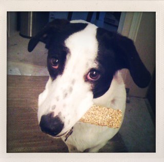 twoohseven's profile picture. one boy, one girl, one dog make it home.