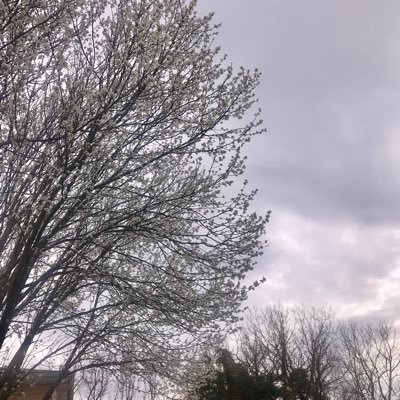 jen2_y's profile picture. 