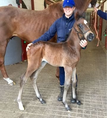 ScolariElena's profile picture. 