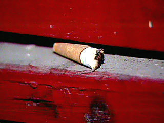 bisc83mendo's profile picture. Porgi l'altra guancia...ok, bene, ma io due ne ho! Finite quelle, posso incazzarmi?