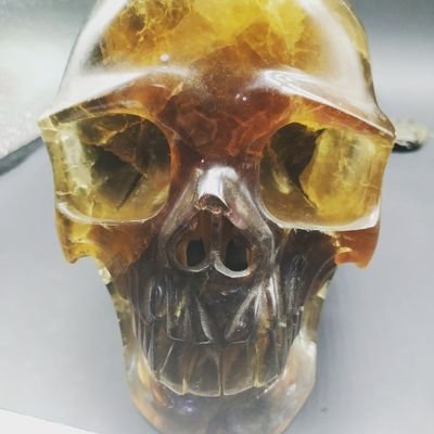 kangcaisale's profile picture. Love life, enjoy life