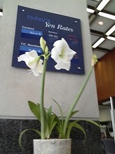 lttla's profile picture. 🥰❤