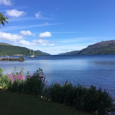 scottan86's profile picture. .