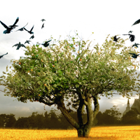 映画『アダムズ・アップル』 (@adamsapplesj) 's Twitter Profile