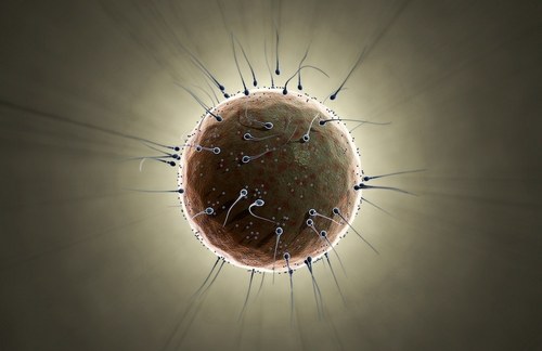 rodleite's profile picture. 