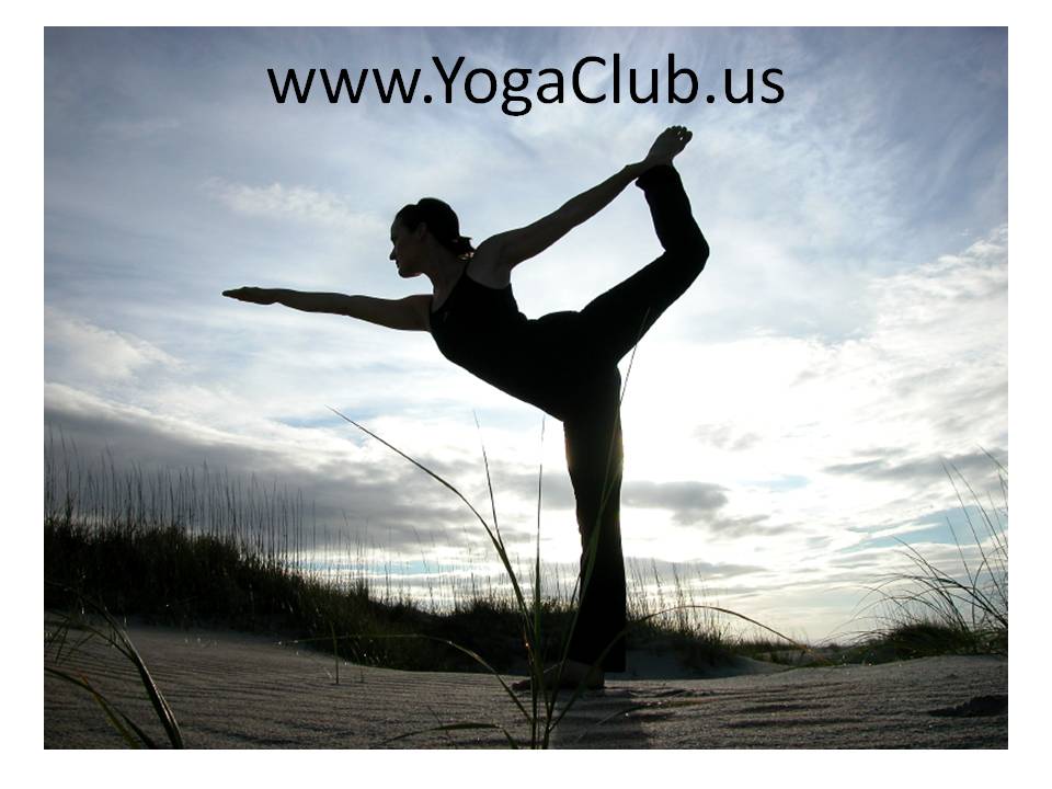 Yoga Club offers many community yoga class and workshops, in addition to a 200 / 500 HR YA RYT & 500 / 800 HR Yoga Therapy Teacher Training