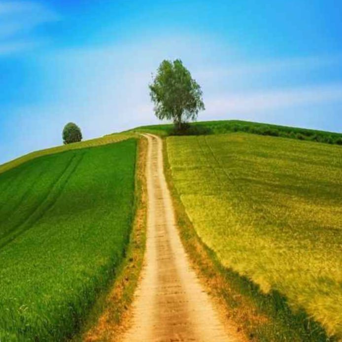 dhom8m's profile picture. طبيب بيطري 💉💊