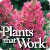 Plants that Work® (@plantsthatwork) 's Twitter Profile