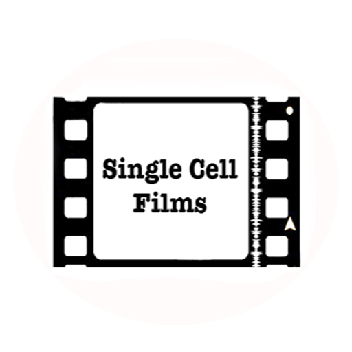 SingleCellFilms Profile Picture