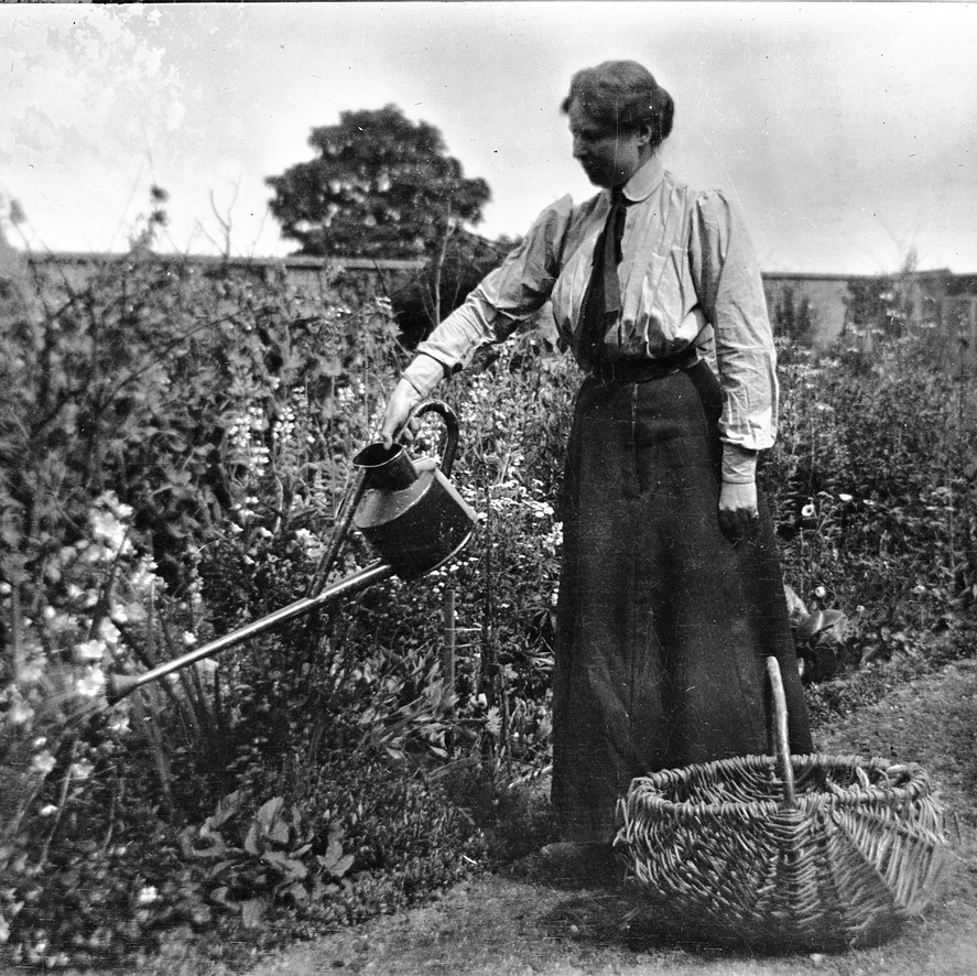 🌻🌻🌻🌻 Heritage gardener, mother and a dog owner. Sustainable living 👍