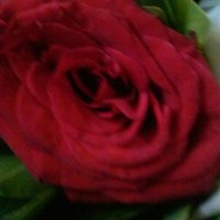 بمارب (@ahgayah) Twitter profile photo