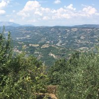 Investing in Regenerative Agriculture (@inregenerative) 's Twitter Profile