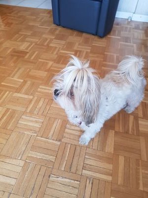 FernandezJosia4's profile picture. 