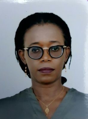 UN Resident and Humanitarian Coordinator in Niger