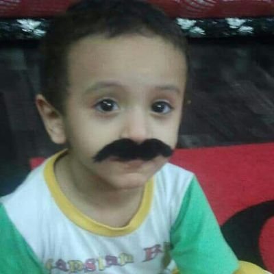 YZan2013's profile picture. 