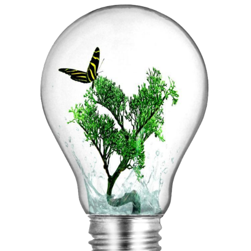 BellwethereLea1's profile picture. eLearning Consultants and provider of GREAT partner solutions #studyhelp #virtuallearning #onlineeducation #virtualschool #onboarding #HR