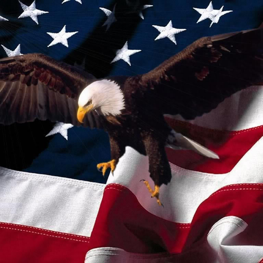 AdamSmi65879071's profile picture. Love ya all ...