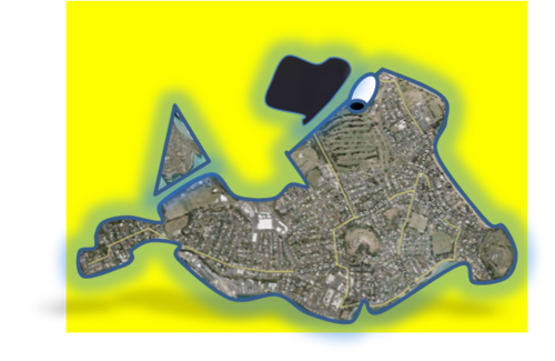 Inconvenient Speculator