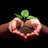 AdelinaG20's profile picture. Me asombran los agrotóxicos. Como miles de fármacos superdañinos que se normalizan. ¿Esto que es?
Aprovechemos la homeopatía para personas, animales y plantas