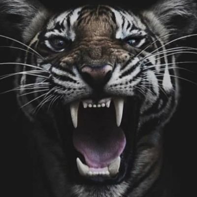 Kampret_Abal2's profile picture. Dunia Terbalik