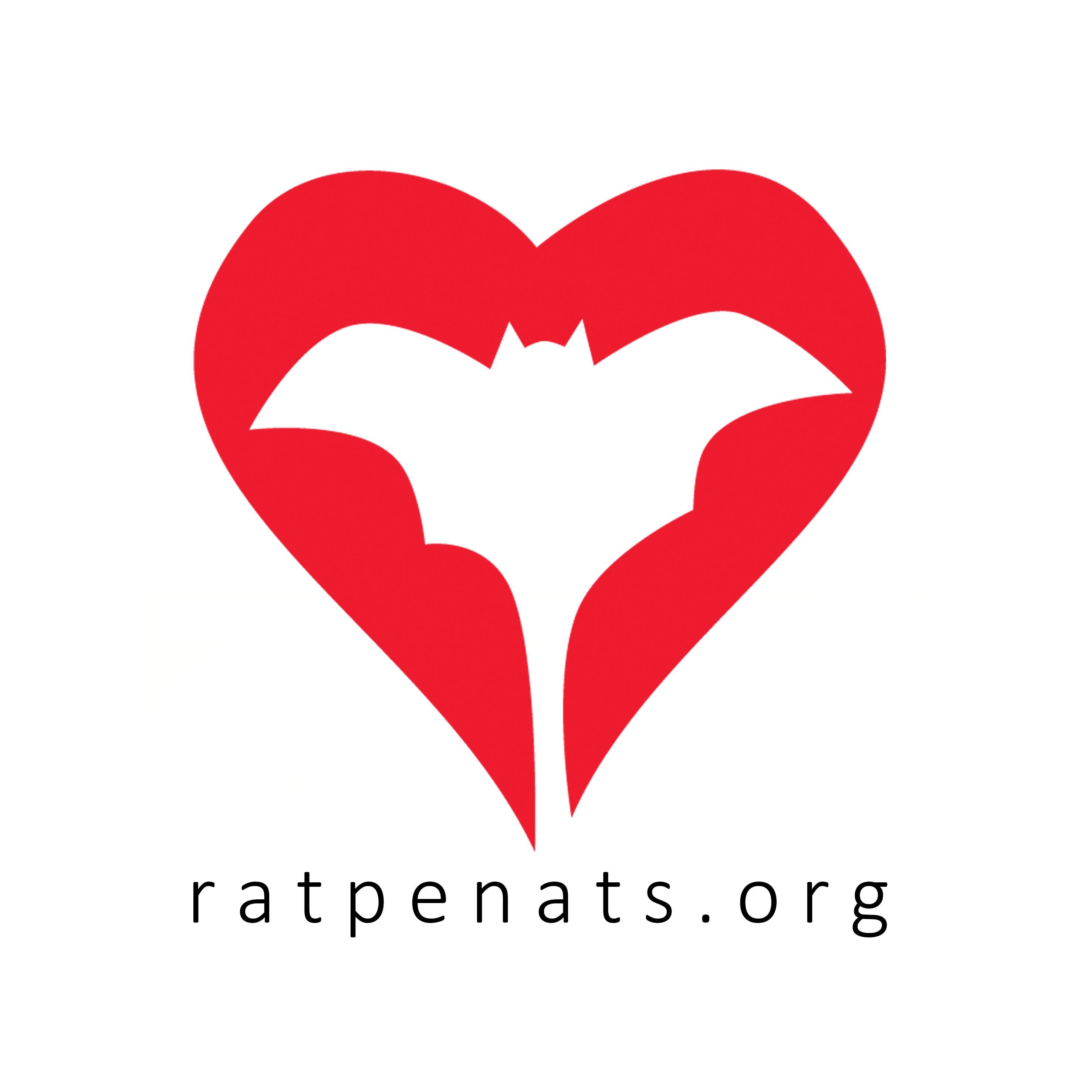 Ratpenats_Cat Profile Picture