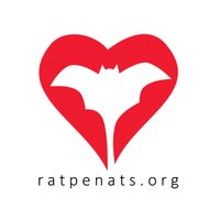 Programa de Seguiment de Ratpenats(@Ratpenats_Cat) 's Twitter Profileg