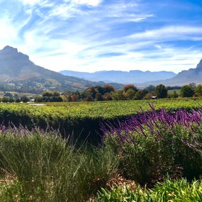 RobbieLedford's profile picture. And here we go...