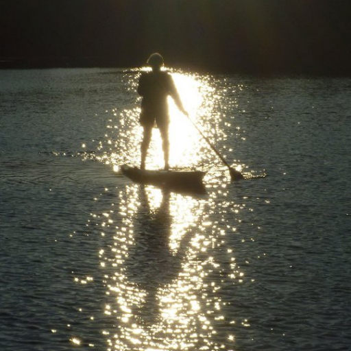 Mom of three (family woman), health sciences librarian, stand-up paddleboarder, Torontonian and Mississagua River devotee ...