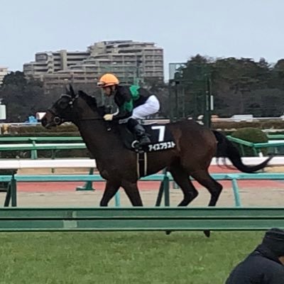 競馬 野球　FC東京