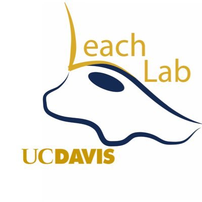 Leach Lab