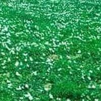 اللهم اصلي علي محمد وعلى آل محمد كما صليت على إبراهيم وعلى آل إبراهيم إنك حميد مجيد