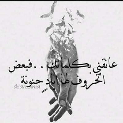 Mm0123456789123's profile picture. سلاما علي من أزهر القلب بلقياهم