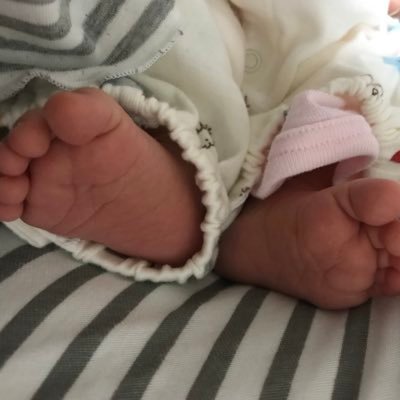 piyomaru0214's profile picture. 0歳の女の子の20代ママです👶🏻懸賞/旅行/美容/おしゃれ大好きです💕育休中でTwitter始めました！無言フォロー失礼します🙇‍♀️無言フォロー大歓迎です😆 ぜひ仲良くしてください★当選した際は必ず報告させていただきます🎶