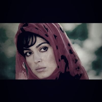 hacayici's profile picture. 