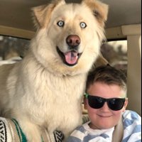 Cody Pringle (@codypringle5) 's Twitter Profile