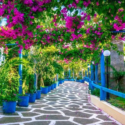 @izmir_from