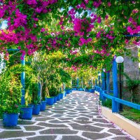 イズミル (@izmir_from) 's Twitter Profile Photo