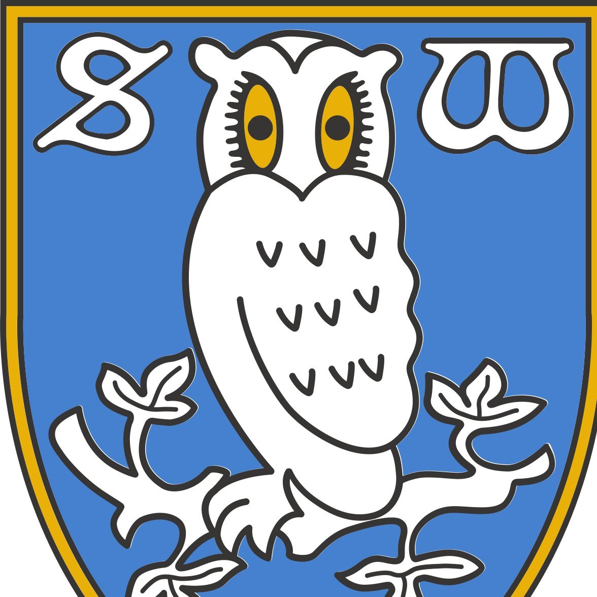 SWFC FOR LIFE!! ⚽ WAWAW 💙💙 ONCE AN OWL ALWAYS AN OWL 💙