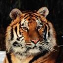 Phyllis Johnson - @gracelesscat - Twitter