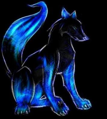 Cloudtail14's profile picture. 