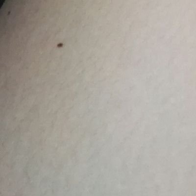 forthesakeoftru's profile picture. 