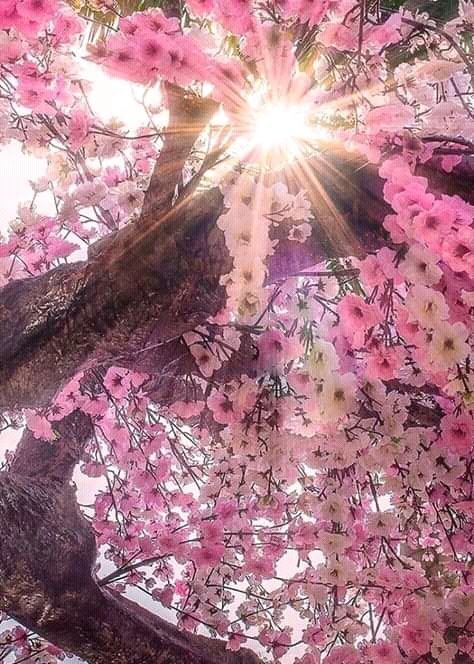 17_secreto's profile picture. Soy inolvidable