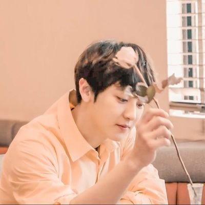 wondrouspcy's profile picture. bucin sekaiyeol•OT9