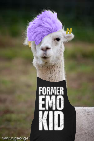 I'm an emo Llama