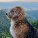 Lilia Oneida ramirez - @LiliaOneida1 - Twitter