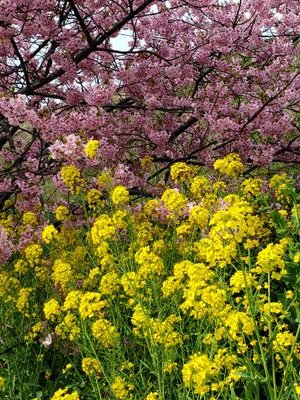 EDXiGWtJpk4TUXc's profile picture. 