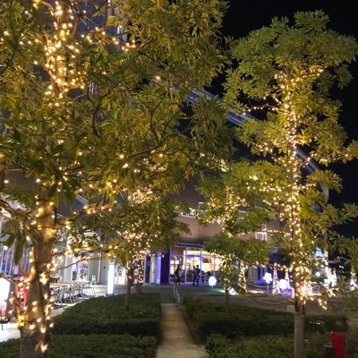 言い訳ばかりの女 Ringokuma Ai Twitter