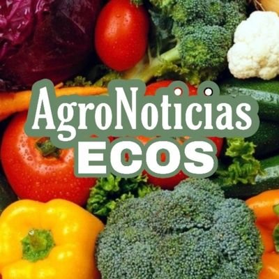 Información del Campo a su Mesa. Por la Defensa del Sector Agropecuario. Noticias agropecuarias de interés nacional.